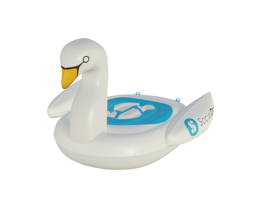 swan pool float